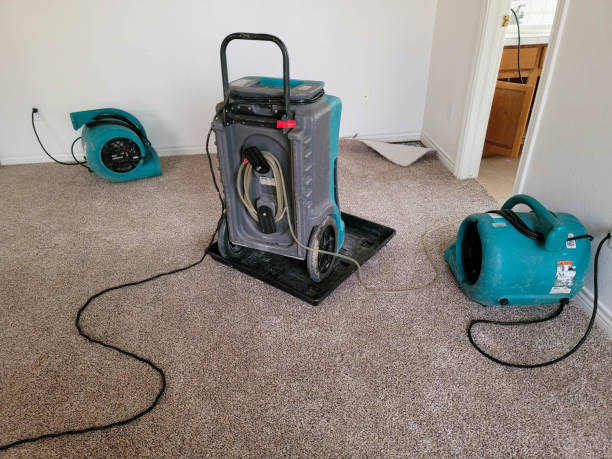 Best 24-hour water damage restoration  in Mvell, AR