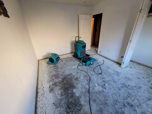 Best Water damage restoration company  in Mvell, AR