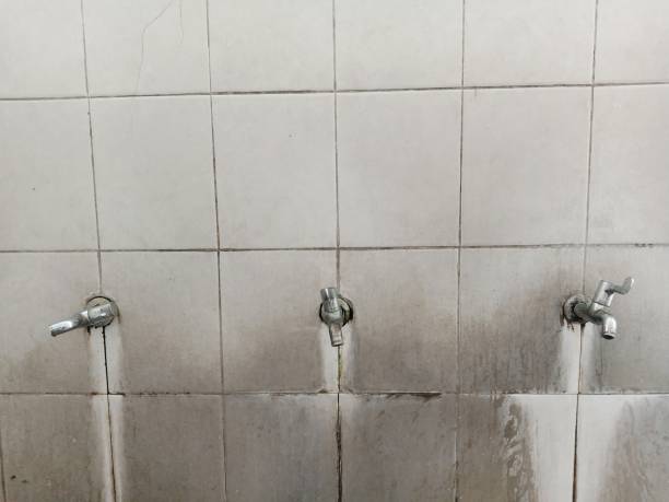 Best Water damage restoration specialists  in Mvell, AR