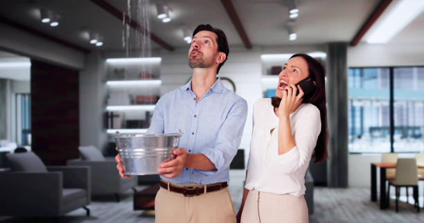 Best Water damage restoration near me  in Mvell, AR